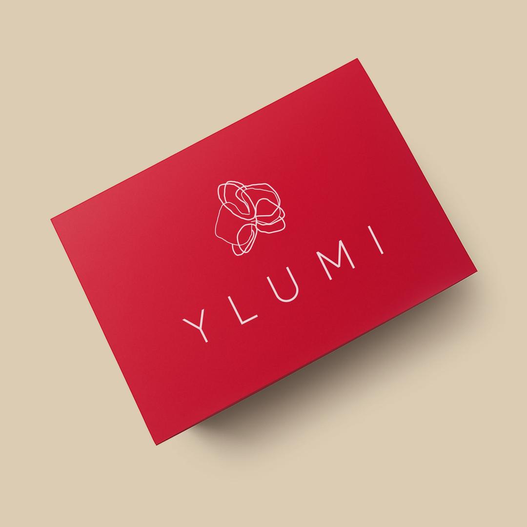 YLUMI Geschenkbox mit Magnetverschluss